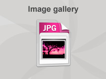 Browse the image gallery associated with this module